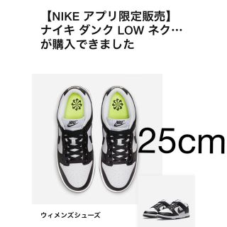 ナイキ(NIKE)のナイキ ダンク LOW ネクスト ネイチャー ウィメンズシューズ　25cm(スニーカー)