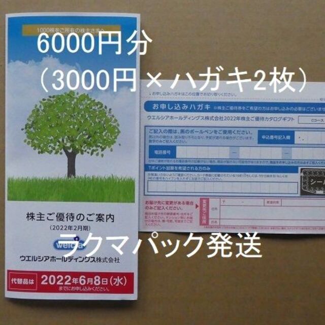 ご覧頂きありがとうございますウエルシア株主優待申込ハガキ 6000円分