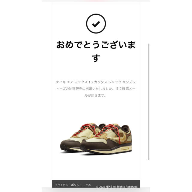 トラヴィススコット×NIKEエアマックス1 "CACT.US CORP"