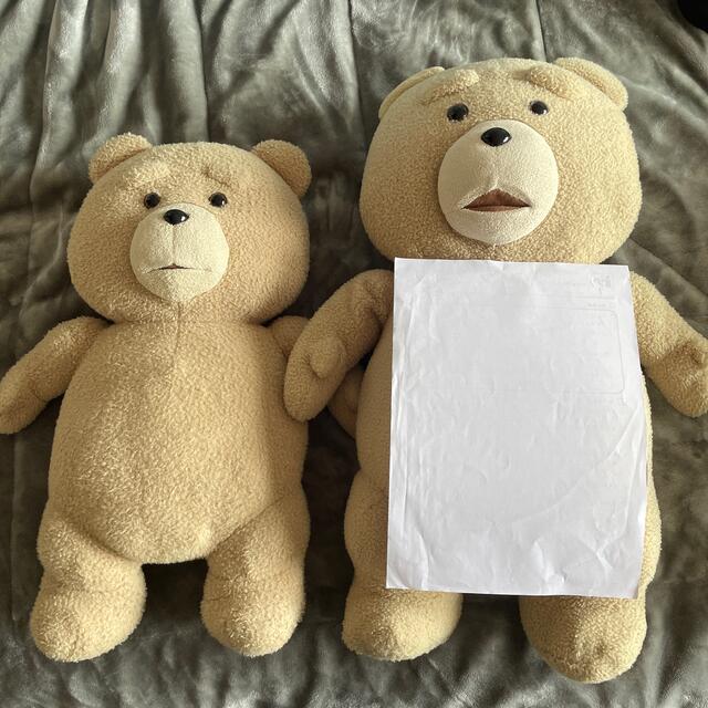 Ted エンタメ/ホビーのおもちゃ/ぬいぐるみ(ぬいぐるみ)の商品写真