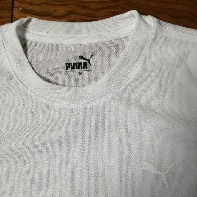 PUMA(プーマ)のPUMAボリエステルTシャツ150cm2枚 スポーツ/アウトドアのサッカー/フットサル(ウェア)の商品写真