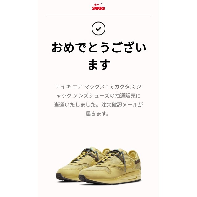 NIKE(ナイキ)のトラヴィス！NIKE エアマックス1 CACT.US GOLD 27.5cm メンズの靴/シューズ(スニーカー)の商品写真