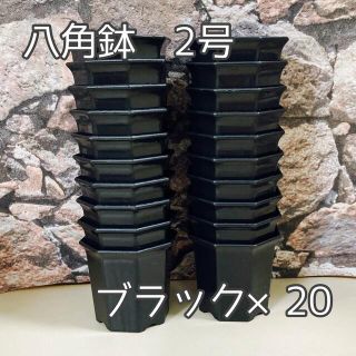 八角鉢 2号 黒 20個 プラ鉢 (プランター)