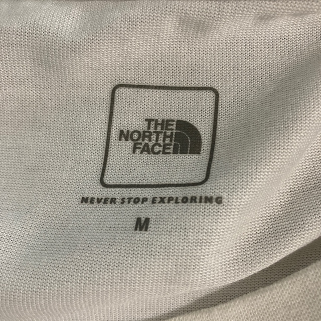 THE NORTH FACE(ザノースフェイス)のザ・ノースフェイス　フォトTシャツ　メンズMサイズ メンズのトップス(Tシャツ/カットソー(半袖/袖なし))の商品写真