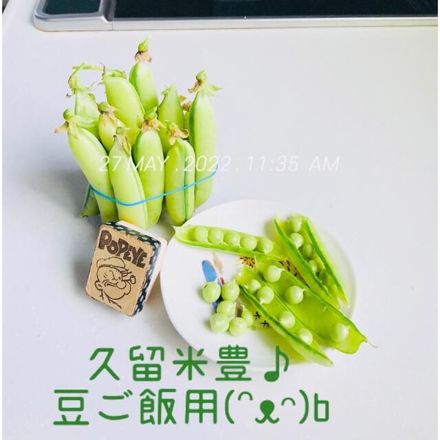 ポパイおじちゃんの野菜5/28(土)発送60size茨城県産 食品/飲料/酒の食品(野菜)の商品写真