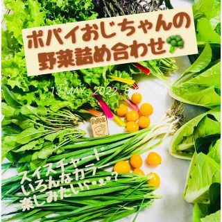 ポパイおじちゃんの野菜5/28(土)発送60size茨城県産(野菜)