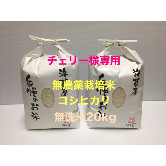 徳島県産-　ろーず様専用　無農薬コシヒカリ普通精米20kg(5kg×4)令和3年