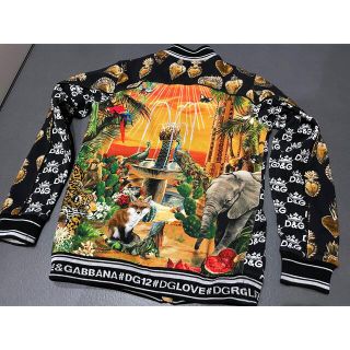 DOLCE&GABBANA - 専用 サイズ12 ドルガバ スウェット アニマル