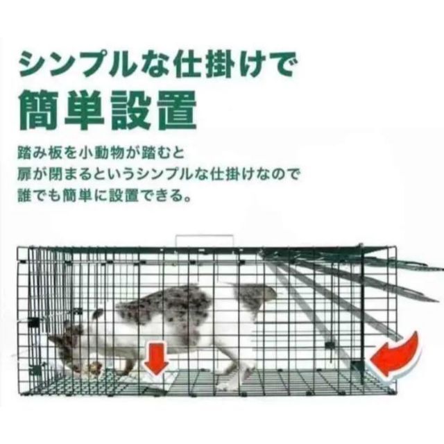 動物捕獲器 Mサイズ アニマルトラップ 野良猫 迷子猫 小動物保護 実獣被害