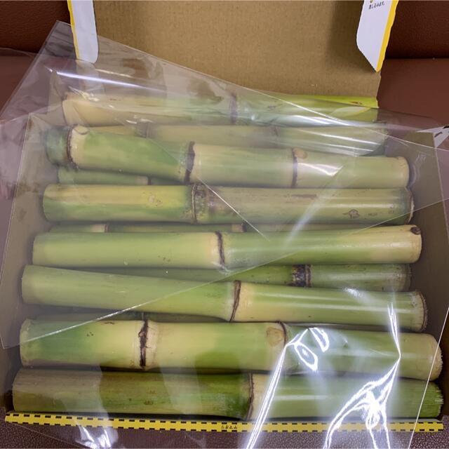 宮古島産さとうきび ・無農薬 (長さ25cm前後) 食品/飲料/酒の食品(野菜)の商品写真