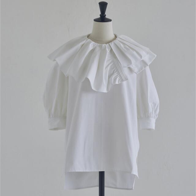 新品5月購入リコRIKOビックカラーブラウス25300円ホワイトシャツ/ブラウス(半袖/袖なし)