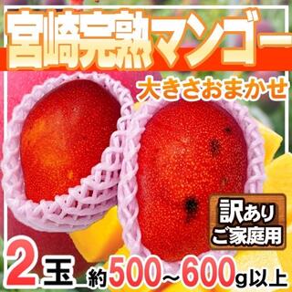 宮崎県産　完熟マンゴー　2玉　約500g～600g以上　訳ありご家庭用(フルーツ)