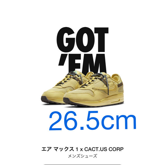 NIKE(ナイキ)のトラヴィス・スコット × ナイキ エアマックス1 "カクタス ゴールド" メンズの靴/シューズ(スニーカー)の商品写真