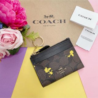 コーチ(COACH)の新品♡coach コーチ　シグネチャー　ウッドストック　小銭入　キーリング(コインケース)