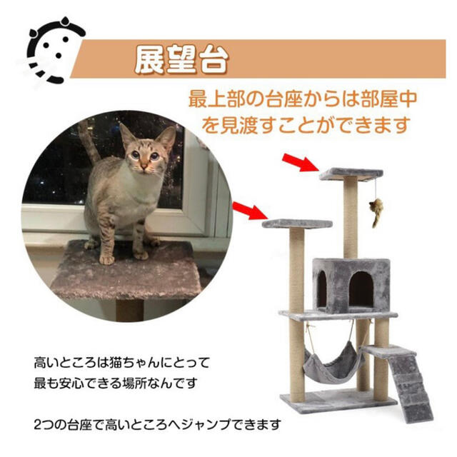 新品 キャットタワー（コーヒー色） 3