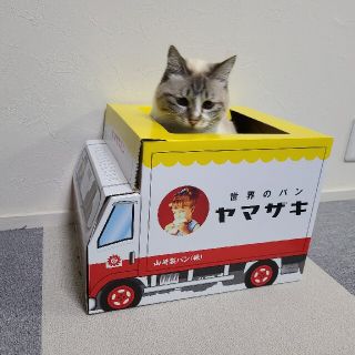 ゆう様専用(その他)