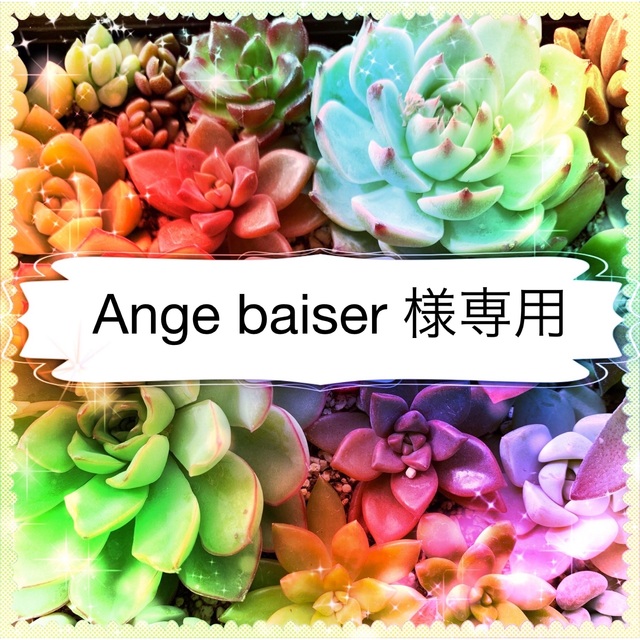 Ange baiser 様専用 ハンドメイドのフラワー/ガーデン(その他)の商品写真