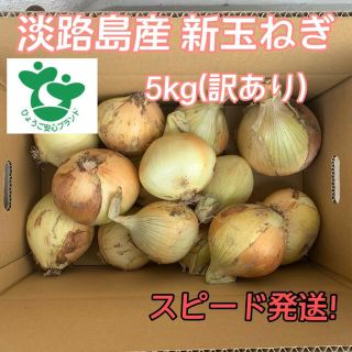 淡路島産 新玉ねぎ 5kg (訳あり)(野菜)