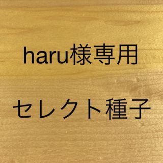 haru様専用　セレクト種子　3袋(野菜)