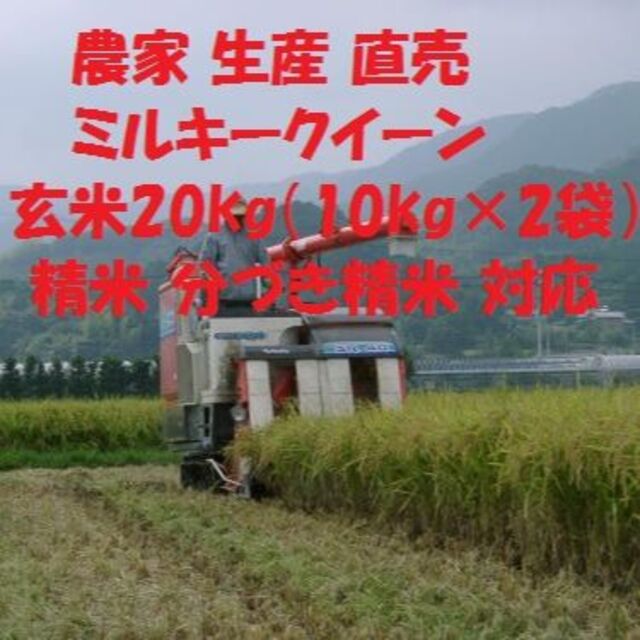 玄米20kg（10kg×2）令和3年産新米 ミルキークイーン　精米・分搗き米対応米/穀物