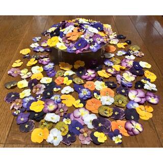 100円お値引き‼️銀の紫陽花が作った彩りビオラのドライフラワー山盛り70冠‼️