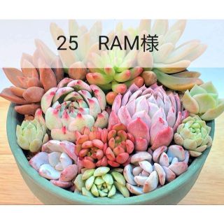 25　RAM様(その他)