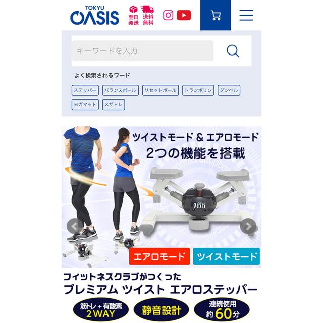 東急オアシス プレミアム ツイスト エアロ ステッパー 【再入荷