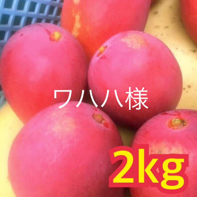 宮崎県産 完熟マンゴー 自家用 2kg