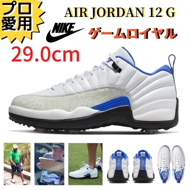 NIKE - 即納【ラス1】29.0cm ナイキ エアジョーダン12G ゲームロイヤル