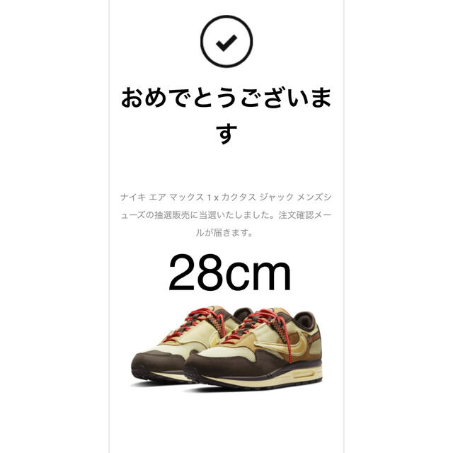 Travis Scott × Nike Air Max 1 Brown 28cm