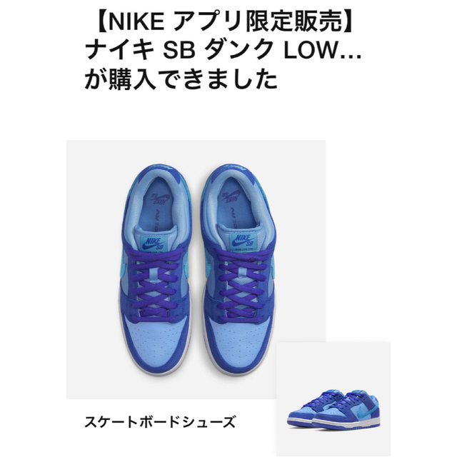 NIKE(ナイキ)のナイキ SB ダンク LOW プロ ブルーラズベリー 27.0cm メンズの靴/シューズ(スニーカー)の商品写真