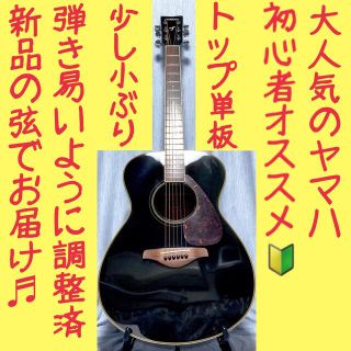 ポリッシュの通販 100点以上(楽器) | お得な新品・中古・未使用品の ...