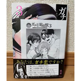 ガチ恋粘着獣 ネット配信者の彼女になりたくて3 特典ペーパー付きの