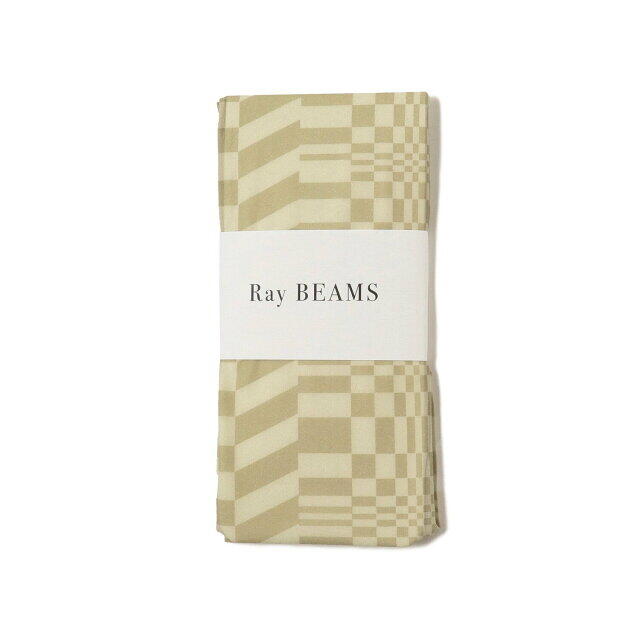 Ray BEAMS(レイビームス)の【BEIGE】Ray BEAMS / オプティカル タイツ レディースのレッグウェア(ソックス)の商品写真