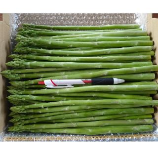 細アスパラガス 1kg 新鮮野菜(野菜)