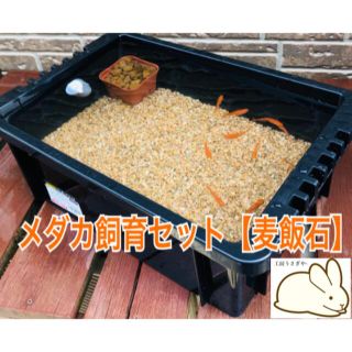 メダカ飼育ケース　麦飯石と赤玉土のセット(アクアリウム)