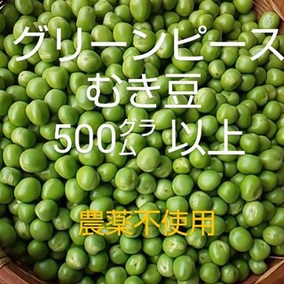 グリーンピース むき豆 500㌘ 以上 農薬不使用(野菜)