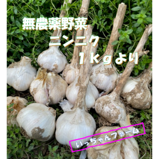 yume３２１７様専用　ニンニク　２ｋｇ　(野菜)