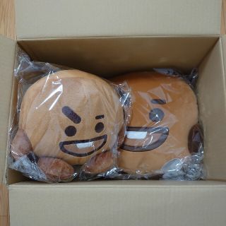 ビーティーイシビル(BT21)のBT21 BASIC フェイスクッション ぬいぐるみ Lサイズ SHOOKY(アイドルグッズ)