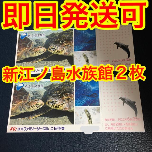 新江ノ島水族館 ご招待券 2枚 送料無料