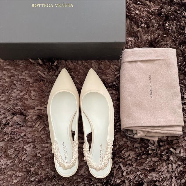 Bottega Veneta スリング バックストラップ フラット　未使用