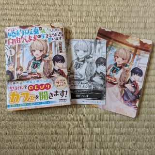 めでたく婚約破棄が成立したので、自由気ままに生きようと思います １(文学/小説)