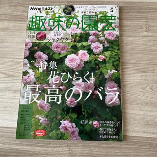 NHK 趣味の園芸 2022年 05月号(その他)