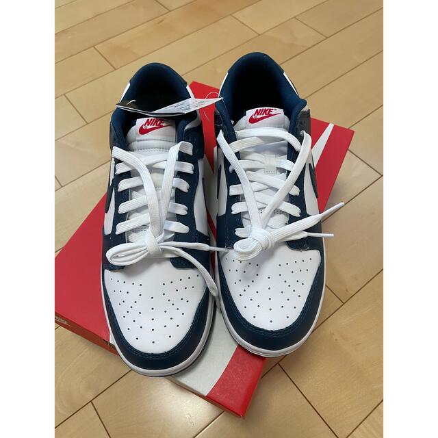 Nike Dunk Low Valerian Blueナイキ ダンクスニーカー