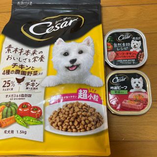 シーザー(CASAR)の成犬用　ペットフード(ペットフード)