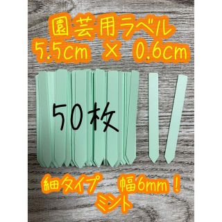 ミント　ガーデニング 多肉植物に☺︎ 園芸用ラベル ネームラベル 50枚(その他)