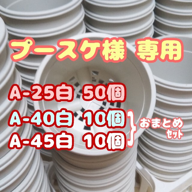 プラ鉢20個おまとめセット♪【4号・4.5号鉢 各10個】他 プレステラ多肉 ハンドメイドのフラワー/ガーデン(プランター)の商品写真