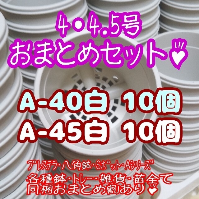 プラ鉢20個おまとめセット♪【4号・4.5号鉢 各10個】他 プレステラ多肉 ハンドメイドのフラワー/ガーデン(プランター)の商品写真