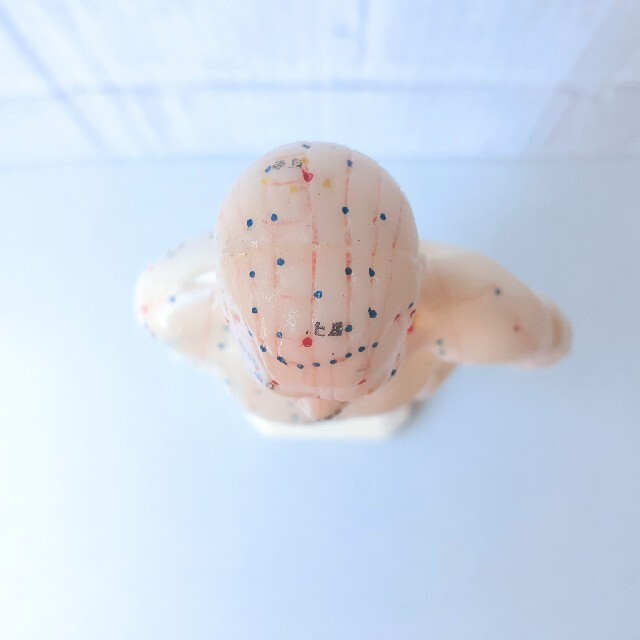 鍼灸経穴人体模型 2