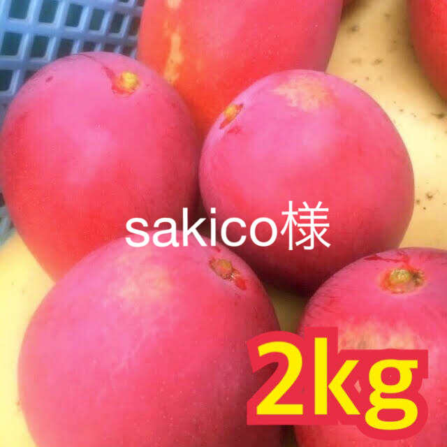 宮崎県産 完熟マンゴー 2kg